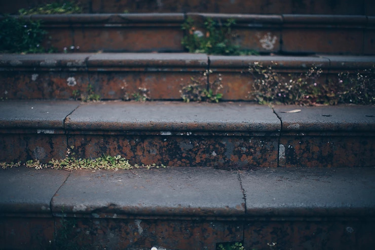 blog-feaured